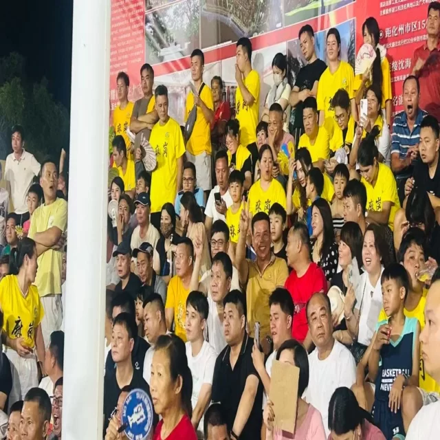 训练备战第164组：阵容调整与战术聚焦全解析